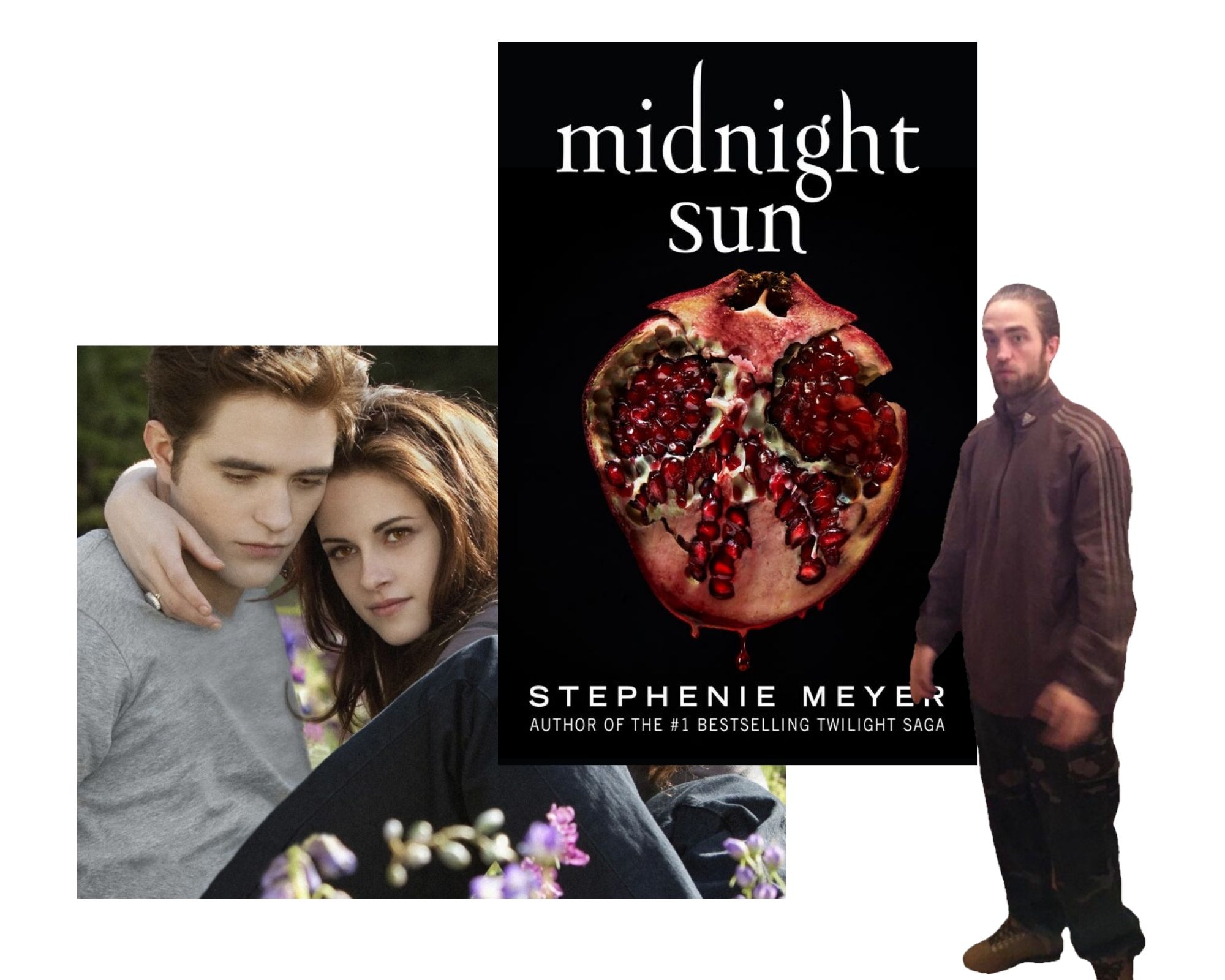 Midnight Sun by Stephenie Meyer 2020 for sale online